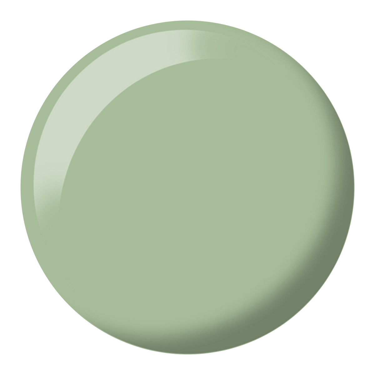 Foggy Fern DIVA #277